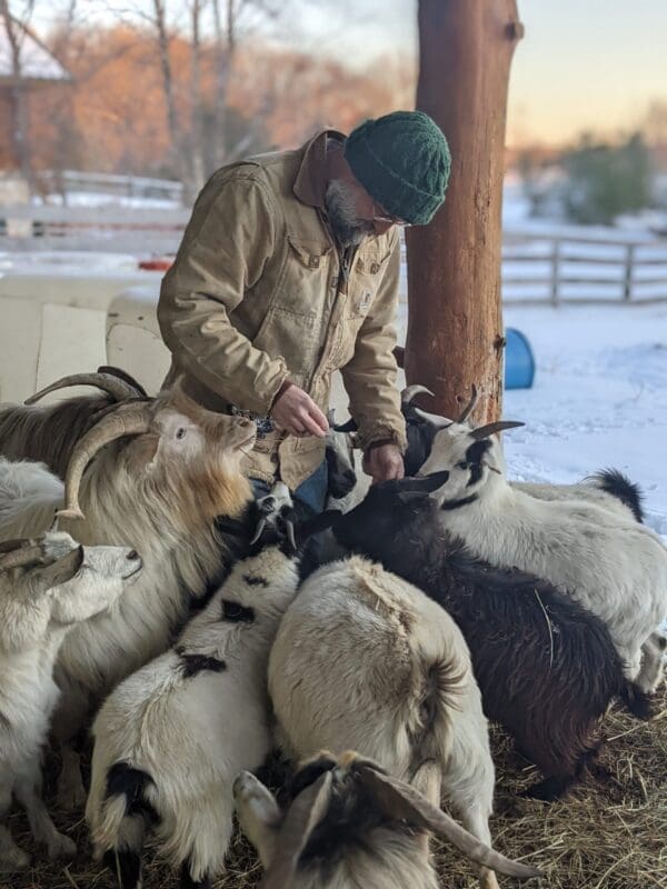 Man surrounded by goats at Wild Haven Farm, a Gentleman's Farm in Sunrise, MN.