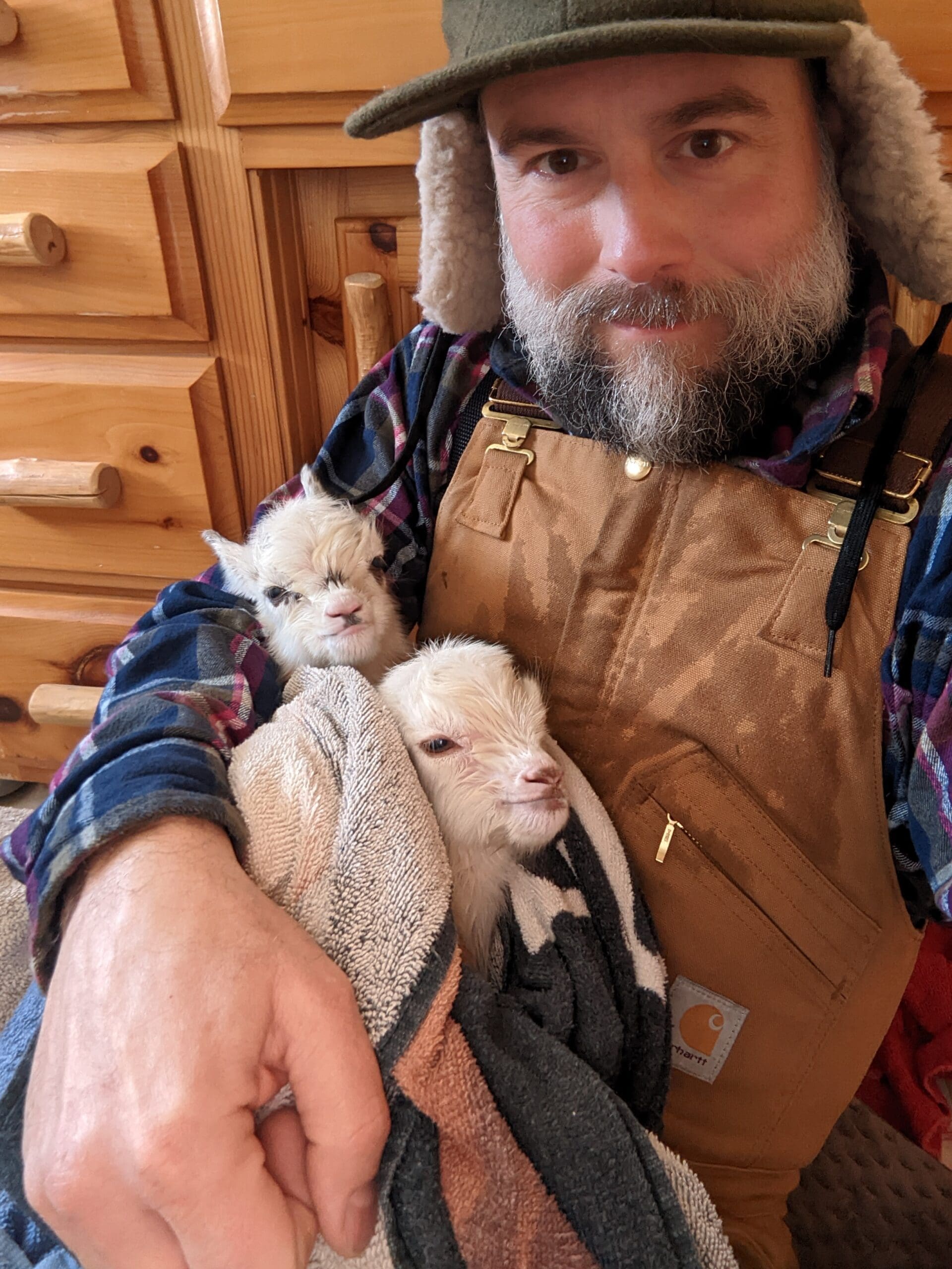 Man in winter clothes and hat holding two new born goats wrapped in a towel