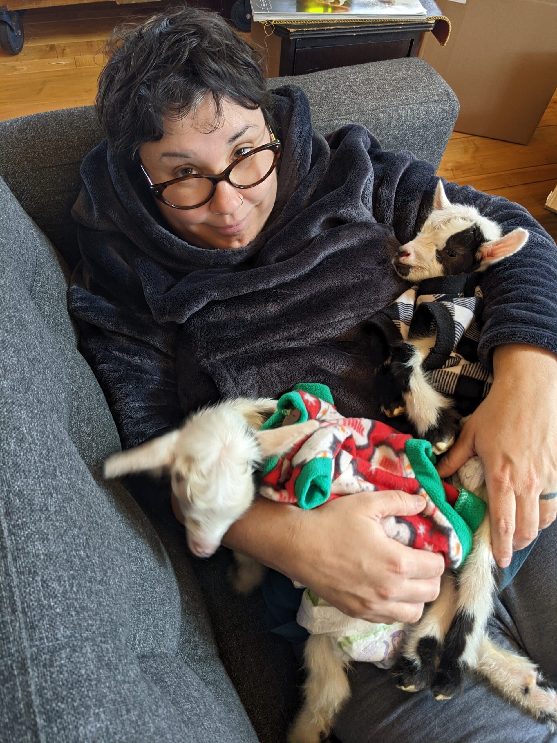 Woman reclining on couch holding two baby goats in diapers and sweaters