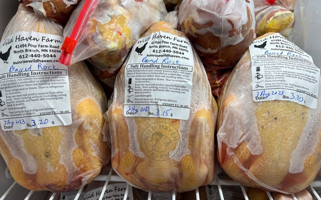 August Poultry Processing