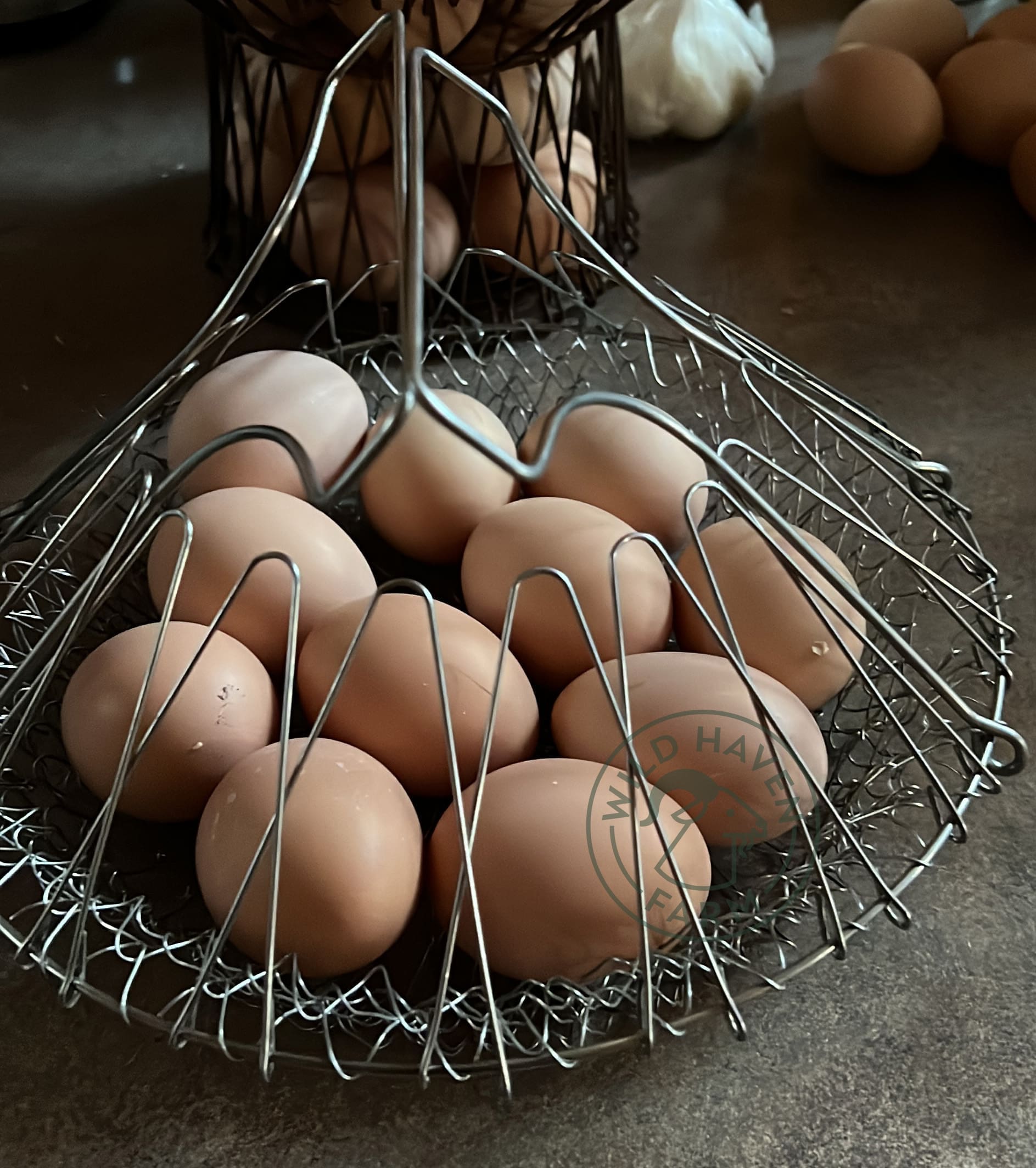 chicken eggs in wire basket