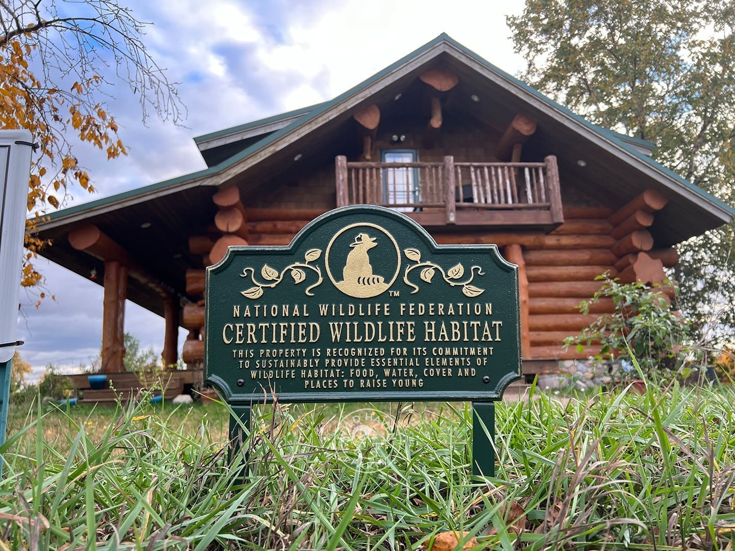 Logo of Wild Haven Farm